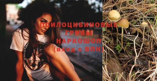 соль курить ск Алексин