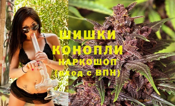 ГАЛЛЮЦИНОГЕННЫЕ ГРИБЫ Абаза