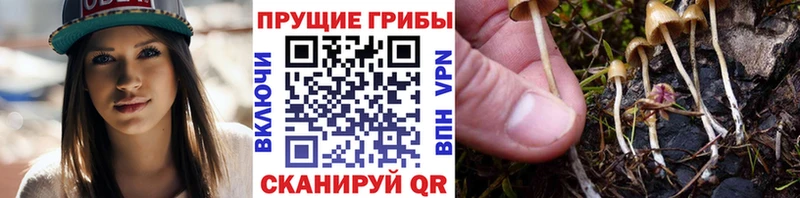 Псилоцибиновые грибы Magic Shrooms  Ялта 