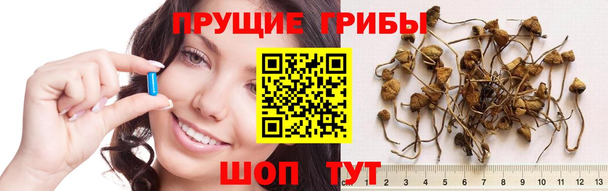 Ялта  Псилоцибиновые грибы ЛСД  Вход с VPN 